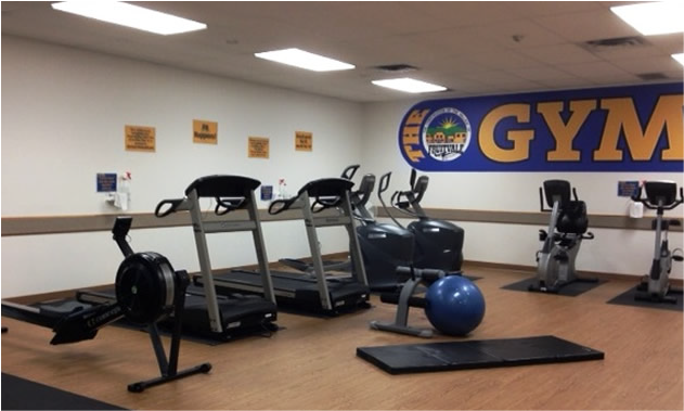 Fruitvale gym with cardio equipment, exercise ball and mats